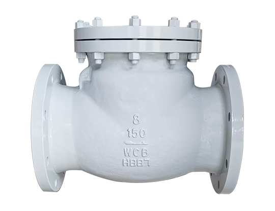 Swing Check Valve